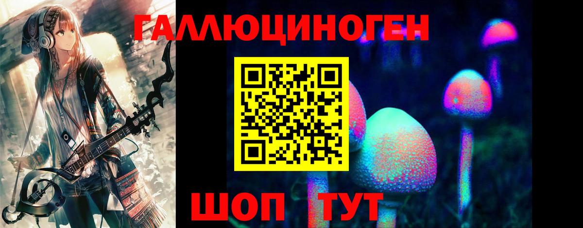 Дмитров  Галлюциногенные грибы Cubensis  Вход с VPN 